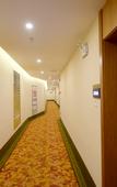 Туры в отель GreenTree Inn(Jingjiang People's Hospital Store)