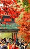 Туры в отель Meijun International Hotel