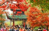 Туры в отель Meijun International Hotel