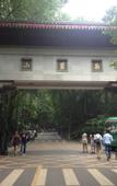 Туры в отель Meijun International Hotel