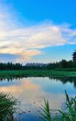 Туры в отель Meijun International Hotel