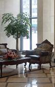 Туры в отель Dongjie Jinshang Hotel -Chengdu Universiade Sports Center Wanda Plaza