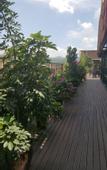 Туры в отель Dongjie Jinshang Hotel -Chengdu Universiade Sports Center Wanda Plaza