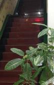 Туры в отель TongTai  Preferred  Hotel