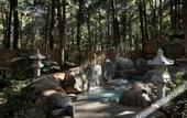 Туры в отель Jinfang Hot Spring Banshan Hotel