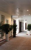 Туры в отель Yisli Hotel