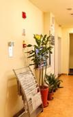 Туры в отель Huanpeng Holiday Hotel (Tianjin Haihe East Road Wanda Center Branch)