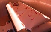 Туры в отель Le Monaco Hotel & Thalasso