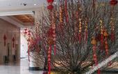 Туры в отель Loiyan Hotel
