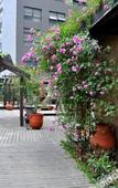 Туры в отель Chengdu Art City Hotel