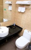 Туры в отель Ibis  Hotel(Xi'an Lintong Terracotta Army Scenic Area Branch)