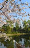 Туры в отель Mengtongquan Hotel