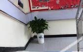 Туры в отель Wudangshan IKEA Hotel (Yuxugong Pedestrian Street)