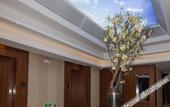 Туры в отель Ocean Style Holiday Hotel (Wuhan Polar Ocean World)