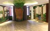Туры в отель Ocean Style Holiday Hotel (Wuhan Polar Ocean World)