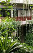 Туры в отель Poly Phoenix Hotel