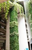 Туры в отель Poly Phoenix Hotel