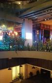 Туры в отель Poly Phoenix Hotel