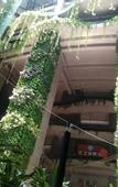 Туры в отель Poly Phoenix Hotel