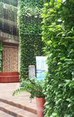Туры в отель Poly Phoenix Hotel