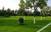 Туры в отель Riverside Guesthouse Jiangxi
