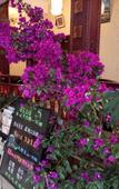 Туры в отель Taihe Yaxing Hotel