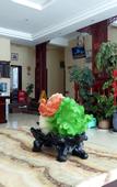 Туры в отель Taihe Yaxing Hotel