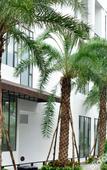 Туры в отель Atour X Hotel Shenzhen Jiaochangwei