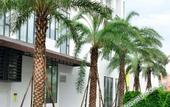 Туры в отель Atour X Hotel Shenzhen Jiaochangwei