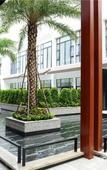 Туры в отель Atour X Hotel Shenzhen Jiaochangwei