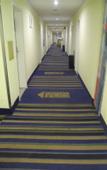 Туры в отель Ripple Hotel