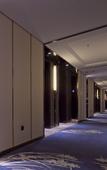 Туры в отель Zhongzhou Intermega Hotel