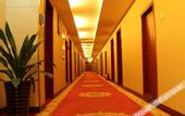 Туры в отель Forest Hotel