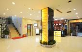 Туры в отель Forest Hotel