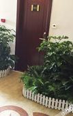 Туры в отель Urba Hotel (Nanmenkou Bubugaostore, Ganzhou City)