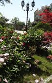Туры в отель Qingdao Oceanside Hotel & Resort