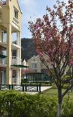 Туры в отель Qingdao Oceanside Hotel & Resort