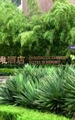 Туры в отель Qingdao Oceanside Hotel & Resort