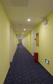 Туры в отель Songguo Hotel (Zhengzhou Dongfeng Road Zhenghong City Store)