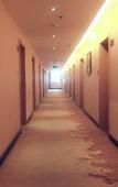 Туры в отель Shenlong Hotel (Xi'an Datang Xishi &Northwestern Polytechnical University Subway Station)
