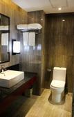 Туры в отель Jiaxi InternationaI Hotel Shenzhen Baoan Airport Xiwan Mangrove branch