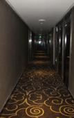 Туры в отель Super 8 Hotel (Hefei Suzhou Road, Provincial Hospital)