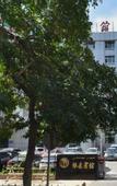 Туры в отель Laiyuan Hotel