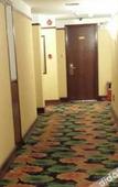 Туры в отель Lavande Hotel( Guangzhou Zengchen Xintang Light Rail Metro Station)