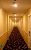 Туры в отель Pebble Motel (Nanchang Longhu Paradise Walk)