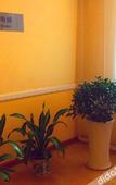 Туры в отель Pebble Motel (Nanchang Longhu Paradise Walk)
