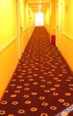 Туры в отель Pebble Motel (Nanchang Longhu Paradise Walk)