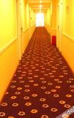 Туры в отель Pebble Motel (Nanchang Longhu Paradise Walk)
