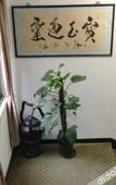 Туры в отель Aishang Hostel Shanghai Baotou Road
