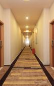 Туры в отель Shangju Hotel (Shenzhen Songgang Subway Station)
